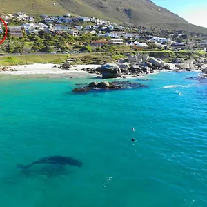 Rock , Simonʼs Town Südafrika